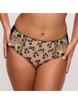 Prima Donna Manali Full Brief